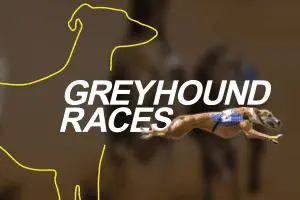 vDogs (Grayhound races) - Marakumi - Kenya