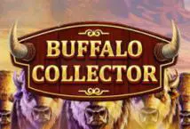 Buffalo Collector - Marakumi - Kenya