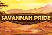 Savannah Pride - Marakumi - Kenya
