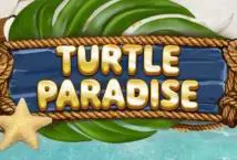 Turtle Paradise - Marakumi - Kenya