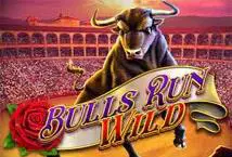 Bulls Run Wild - Marakumi - Kenya