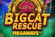Big Cat Rescue Megaways - Marakumi - Kenya