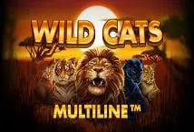 Wild Cats Multiline - Marakumi - Kenya