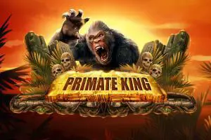 Primate King - Marakumi - Kenya
