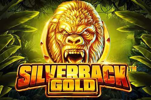 Silverback Gold - Marakumi - Kenya