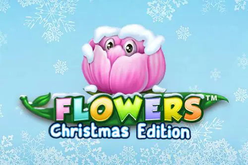 Flowers Christmas Edition - Marakumi - Kenya