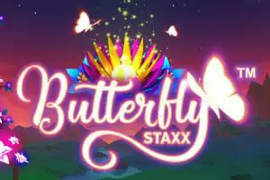 Butterfly Staxx - Marakumi - Kenya