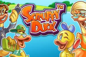 Scruffy Duck - Marakumi - Kenya