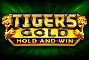 Tiger's Gold - Marakumi - Kenya