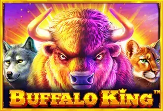 Buffalo King - Marakumi - Kenya