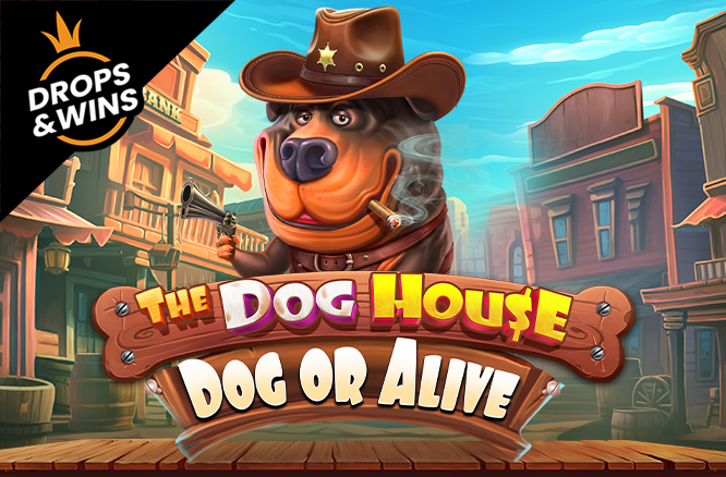 The Dog House - Dog or Alive - Marakumi - Kenya