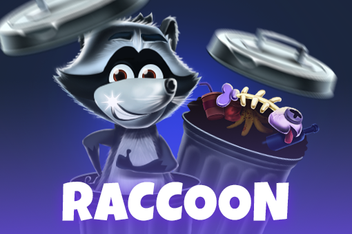 Raccoon - Marakumi - Kenya