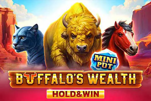 Buffalo’s Wealth Hold And Win - Marakumi - Kenya