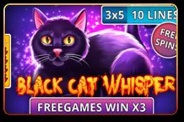 Black Cat Whisper - Marakumi - Kenya