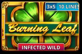 Burning Leaf - Marakumi - Kenya