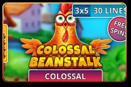 Colossal Beanstalk - Marakumi - Kenya