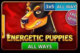 Energetic Puppies - Marakumi - Kenya