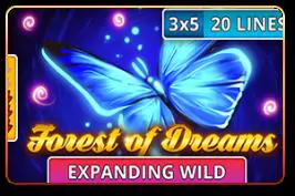 Forest of Dreams - Marakumi - Kenya