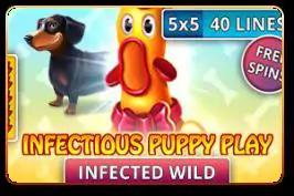 Infectious Puppy Play - Marakumi - Kenya