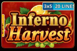Inferno Harvest - Marakumi - Kenya