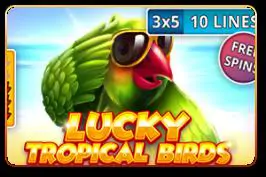 Lucky Tropical Birds - Marakumi - Kenya