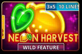 Neon Harvest - Marakumi - Kenya