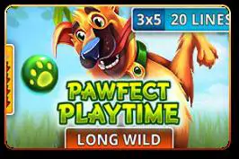 Pawfect Playtime - Marakumi - Kenya