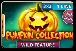 Pumpkin Collection (3x3) - Marakumi - Kenya
