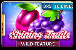 Shining Fruits - Marakumi - Kenya