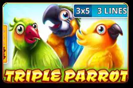 Triple Parrot - Marakumi - Kenya