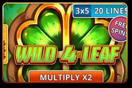 Wild 4 Leaf - Marakumi - Kenya