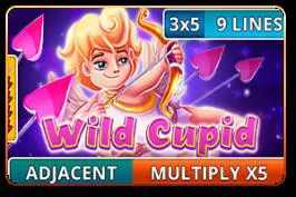 Wild Cupid - Marakumi - Kenya