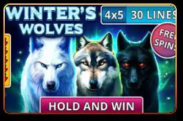 Winter's Wolves - Marakumi - Kenya