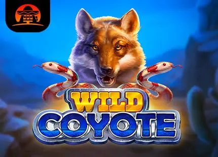 Wild Coyote - Marakumi - Kenya