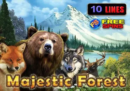 Majestic Forest - Marakumi - Kenya