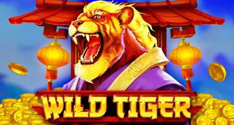 Wild Tiger - Marakumi - Kenya
