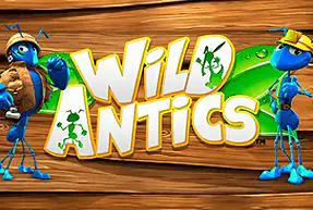 Wild Antics - Marakumi - Kenya
