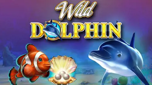 Wild Dolphin - Marakumi - Kenya
