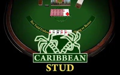 Caribbean Stud - Marakumi - Kenya