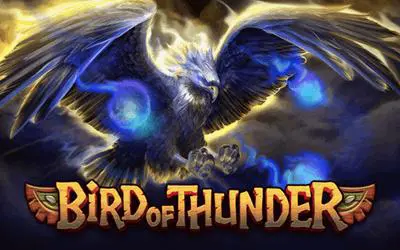 Bird of Thunder - Marakumi - Kenya