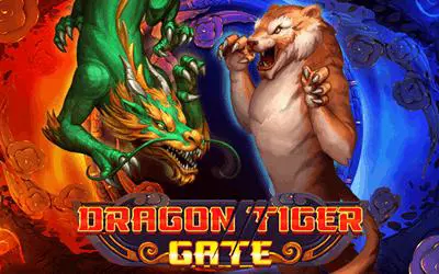 Dragon Tiger Gate - Marakumi - Kenya