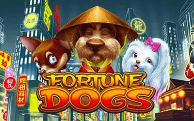 Fortune Dogs - Marakumi - Kenya