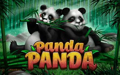 Panda Panda - Marakumi - Kenya