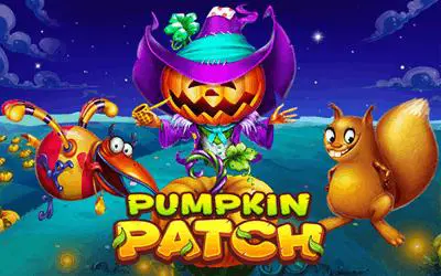 Pumpkin Patch - Marakumi - Kenya
