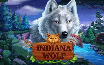 Indiana Wolf - Marakumi - Kenya