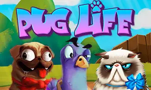 Pug Life - Marakumi - Kenya