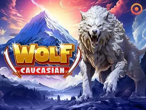 Caucasian Wolf - Marakumi - Kenya