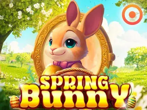 Spring Bunny - Marakumi - Kenya