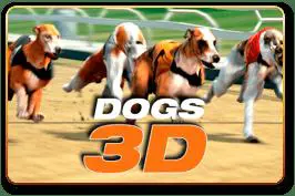 Dogs 3D - Marakumi - Kenya