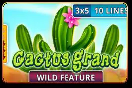 Cactus Grand - Marakumi - Kenya